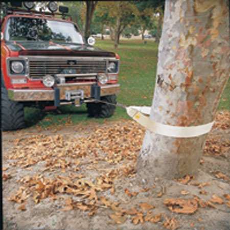 Tree Saver Strap